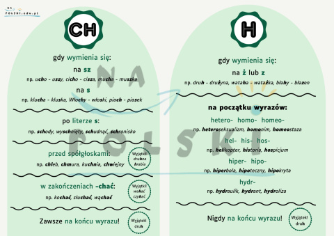 Pisownia ch i h - tablica z zasadami ortograficznymi